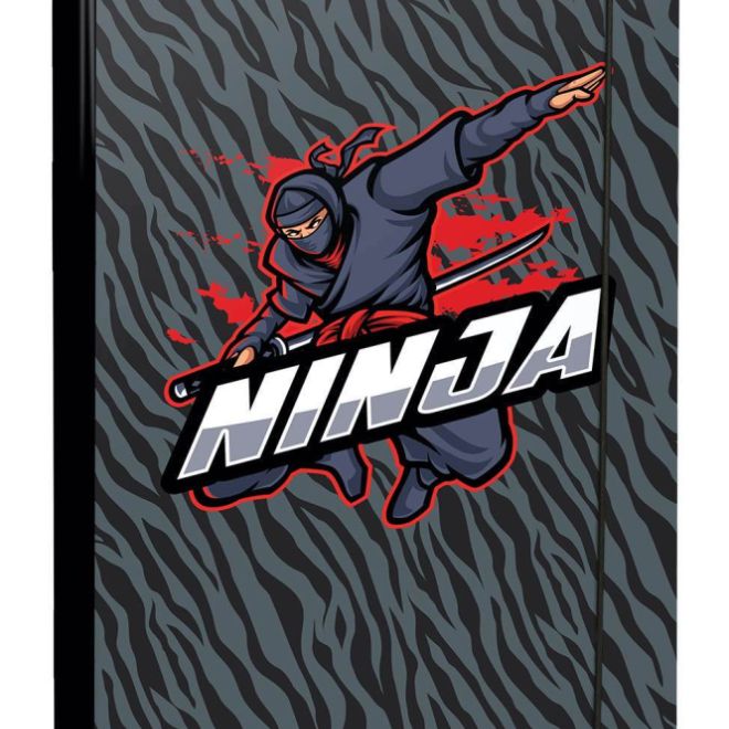 BAAGL Desky na školní sešity A4 Ninja