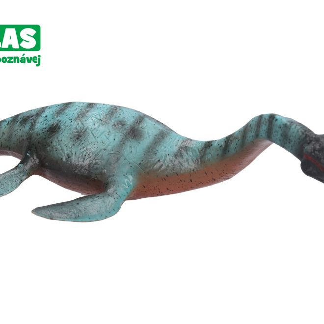 F - Figurka Plesiosaurus 25 cm
