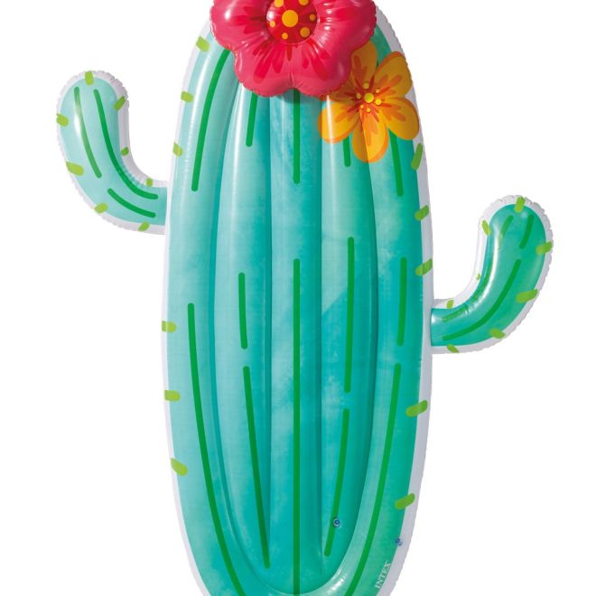 Nafukovací lehátko Kaktus