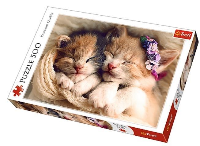 Puzzle Spící koťata 500 dílků 48x34cm v krabici 40x26,5x4,5cm