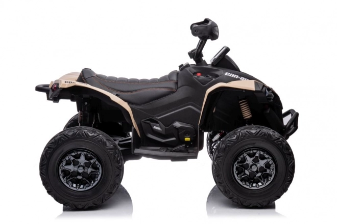 CAN-AM Renegate Čtyřkolka s bateriovým pohonem