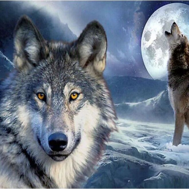Sada na diamantové malování - vlci v zimě