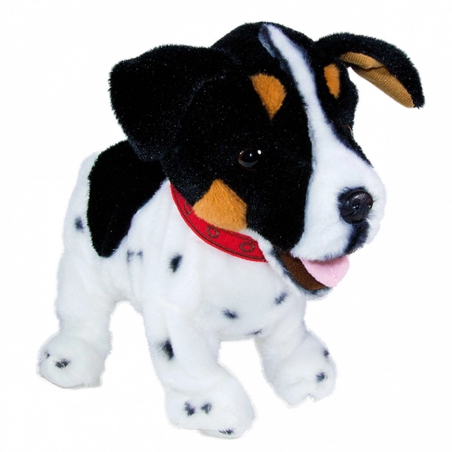 Figo interaktivní maskot Jack Russel Terrier pes reagující na povely