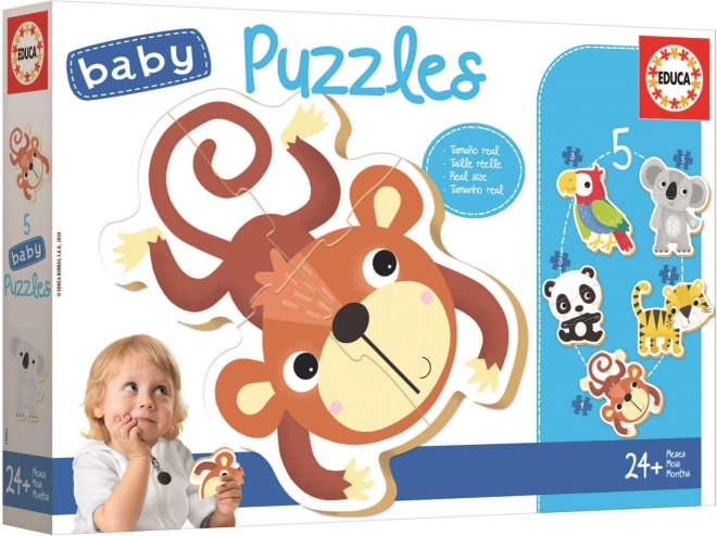 EDUCA Baby puzzle Divoká zvěř 5v1 (3-5 dílků)