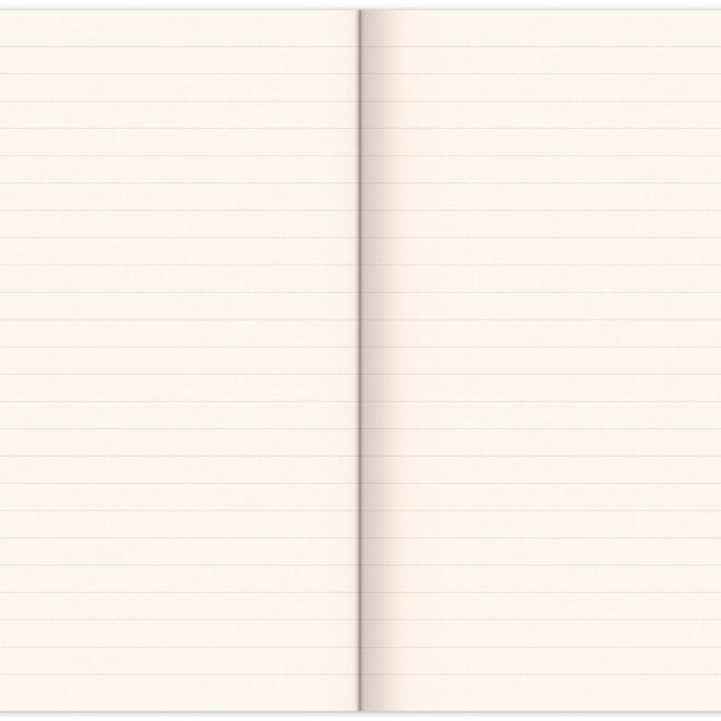Notes Alfons Mucha – Bodlák, linkovaný, 13 × 21 cm