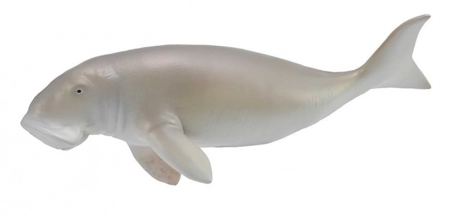 Dugong indický
