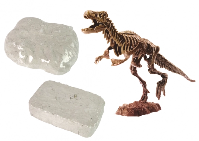 Archeologická sada 2 v 1 kostra dinosaura Tyranosaura