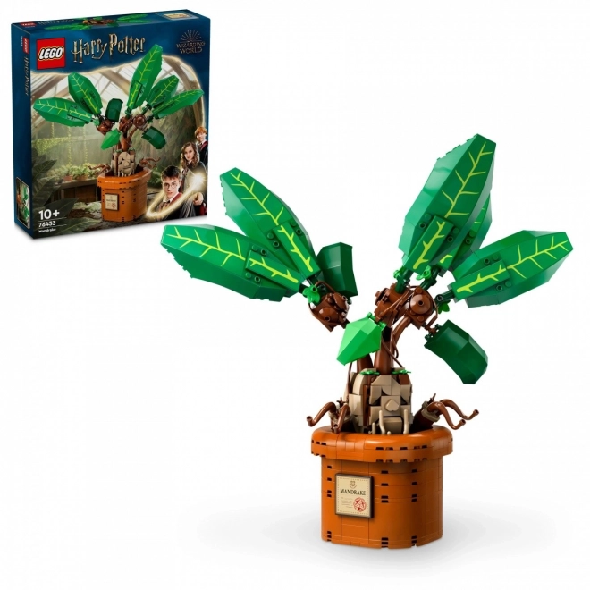 LEGO Harry Potter 76433 Mandragora