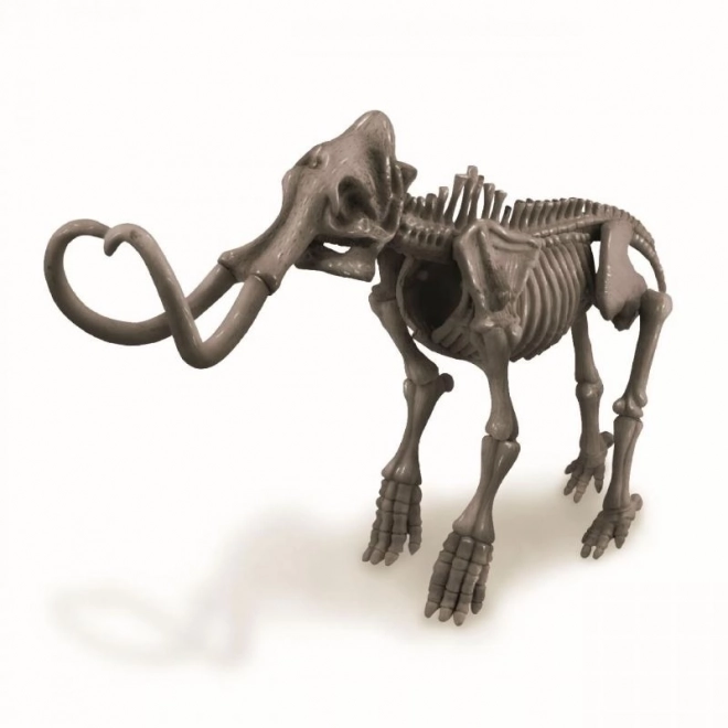 Kostra - Mamut