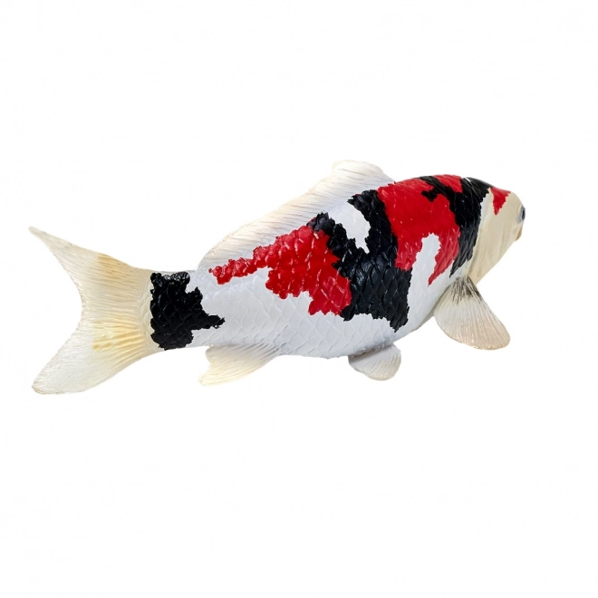 Mojo kapr koi showa sanshoku