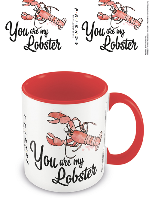 Hrnek barevný Přátelé (You are my lobster), 315 ml