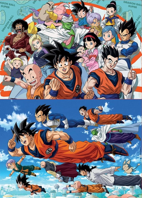 Puzzle Dragon Ball Super 2x100 dílků