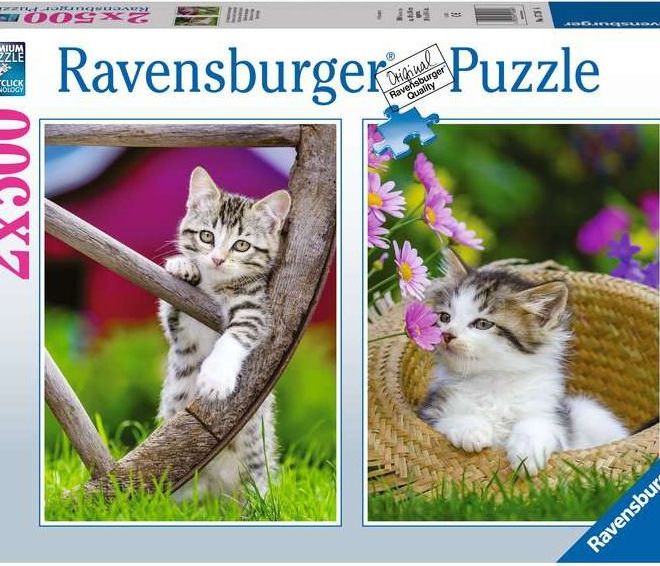 RAVENSBURGER Puzzle Koťata na venkově 2x500 dílků