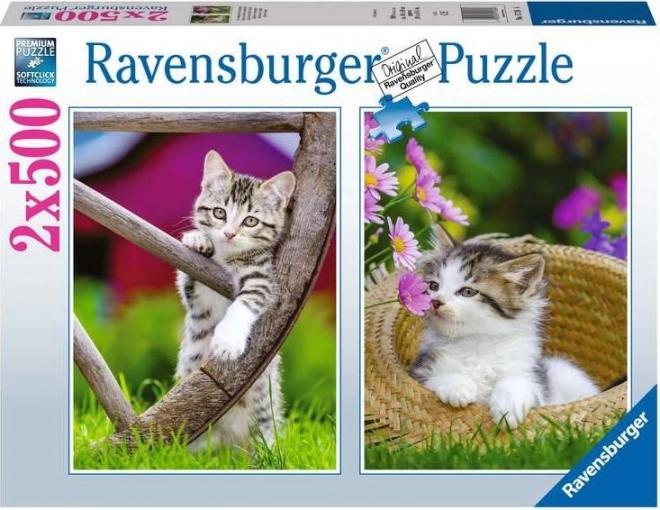 Puzzle Koťata na venkově od Ravensburger