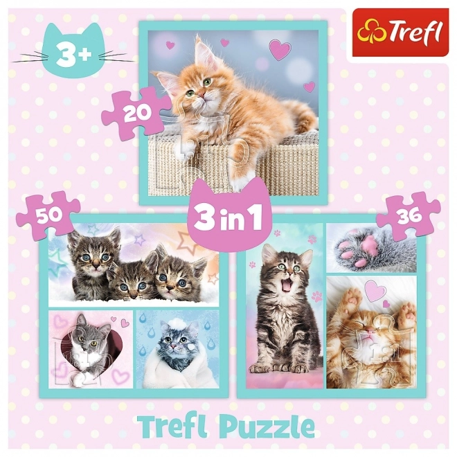 TREFL Puzzle Sladká koťátka 3v1 (20,36,50 dílků)