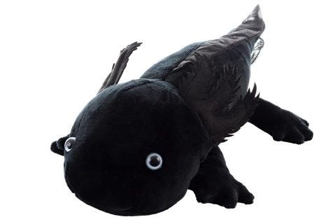 Černý plyšový axolotl eco-friendly 32 cm
