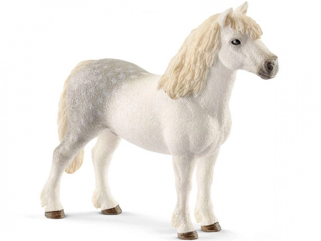 Velšský hřebec pony