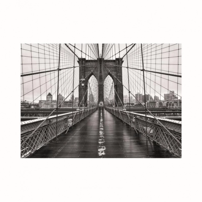 ČERNOBÍLÝ NEW YORK 1000 Puzzle