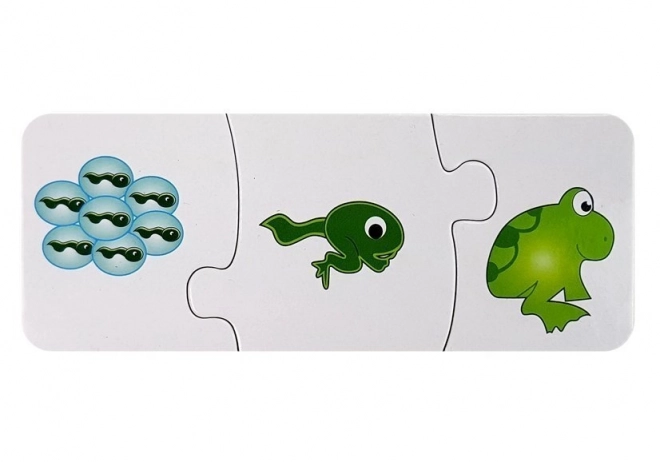 Vzdělávací puzzle 10 připojení