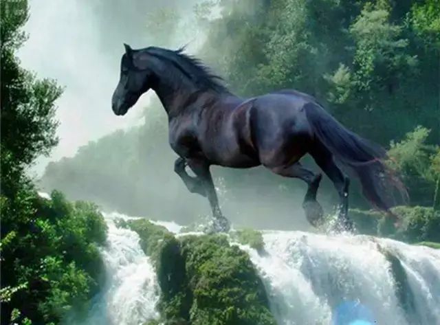 Sada na diamantové malování - černý kůň nad vodopádem