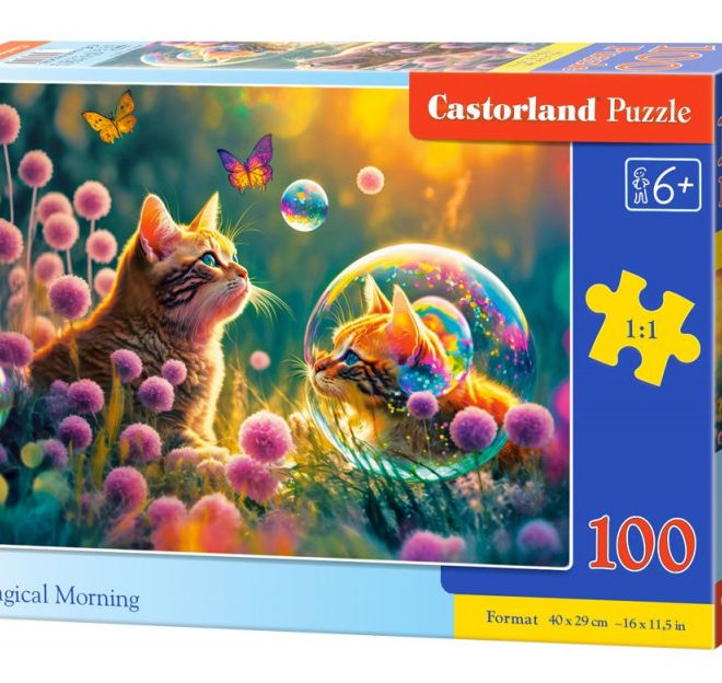 Puzzle 100 dílků Magic morning