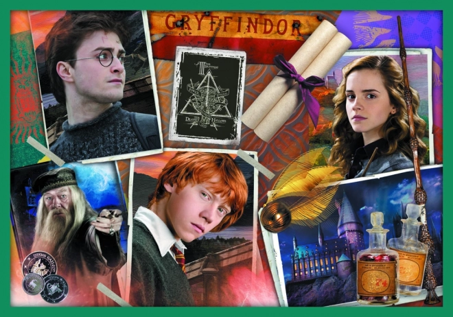 Puzzle Harry Potter - Ve světě Harryho Pottera 10v1