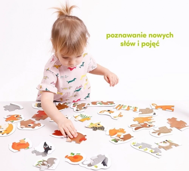 Progresivní puzzle - Zvířátka v lese