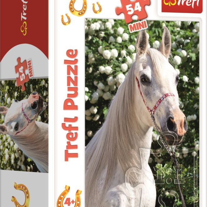 TREFL Puzzle Svět koní: Portrét bělouše 54 dílků