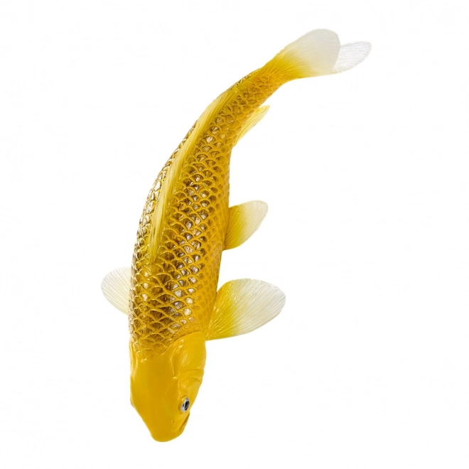 Mojo kapr koi Matsuba