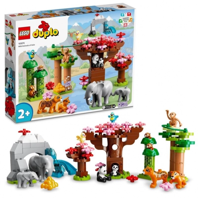 LEGO Duplo 10974 Divoká zvířata Asie