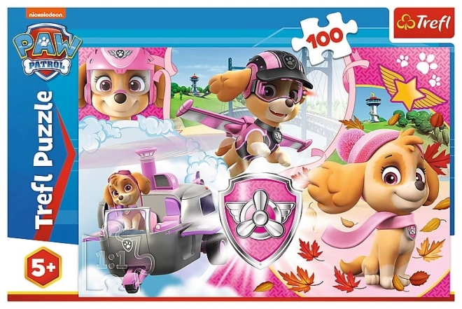 Puzzle Paw Patrol/Tlapková patrola Skye v akci 41x27,5cm 100 dílků v krabici 29x19x4cm