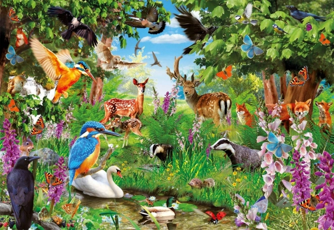 Puzzle 2000 prvků Fantastický les