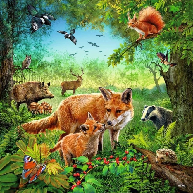 RAVENSBURGER Puzzle Zvířata 3x49 dílků