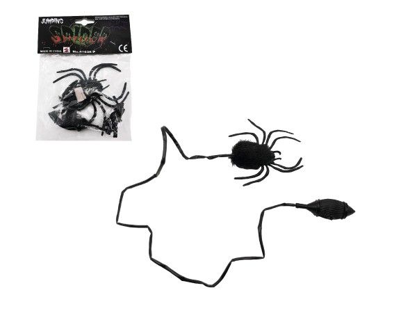 Černý skákající pavouk