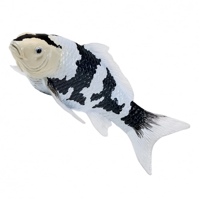 Mojo kapr Koi Shiro Utsuri