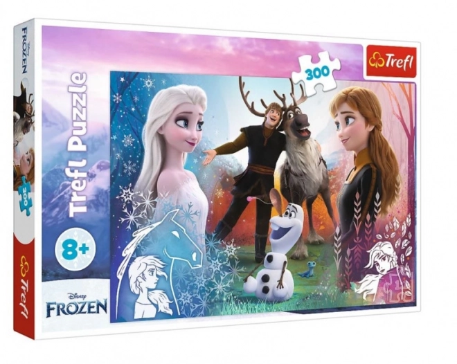 Puzzle 300 prvků Magic Time Frozen 2