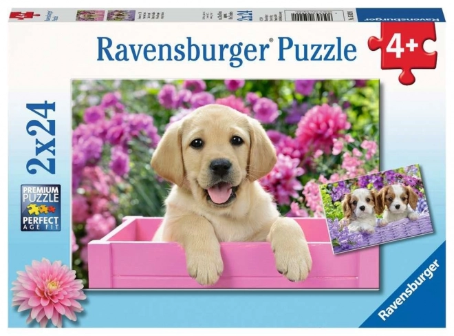 RAVENSBURGER Puzzle Já a můj kámoš 2x24 dílků