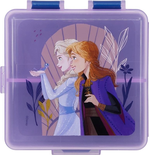 Motiv oblíbeného filmu Frozen