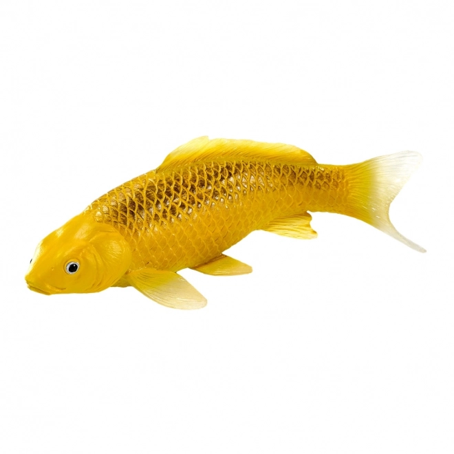 Mojo kapr koi Matsuba