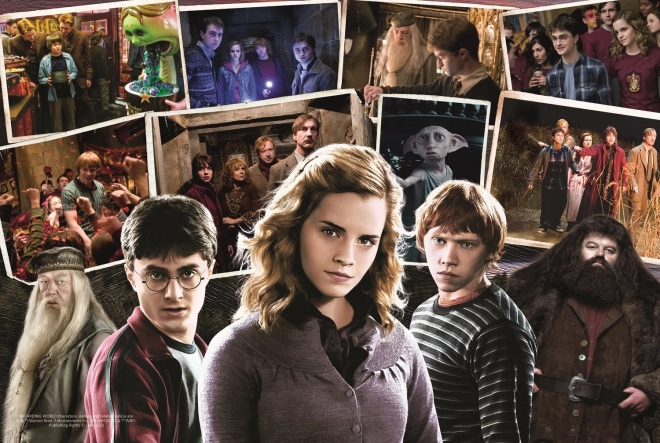 Puzzle Harry Potter a přátelé