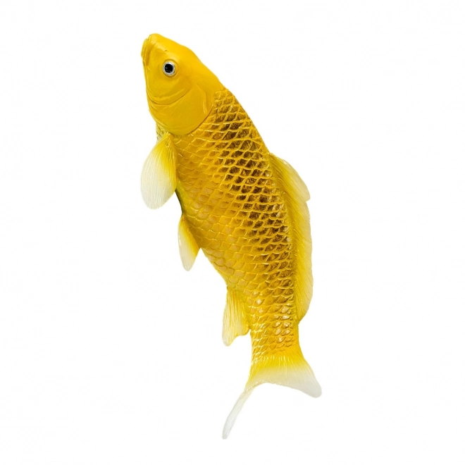 Mojo kapr koi Matsuba