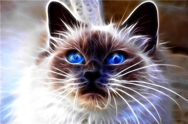 Sada na diamantové malování -  magická kočka