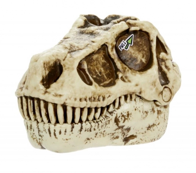 Dinosaurus lebka GrossMos série 1