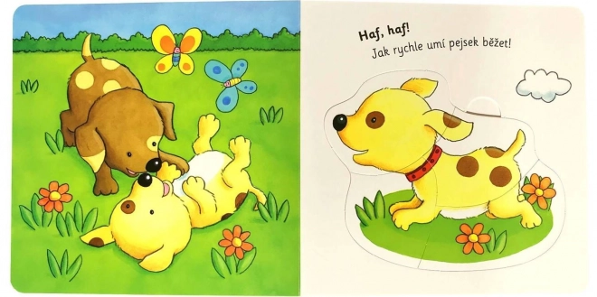 Svojtka & Co. Kniha s puzzle: Na statku