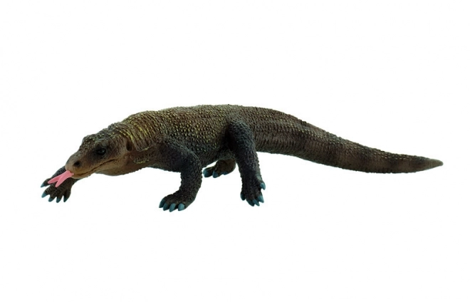 Varan komodský