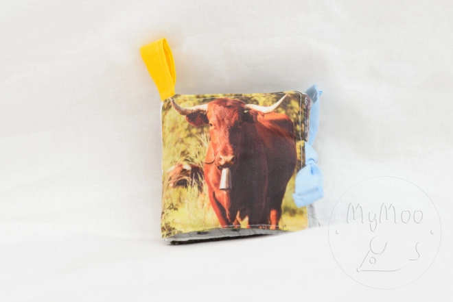 MyMoo Mini soft book