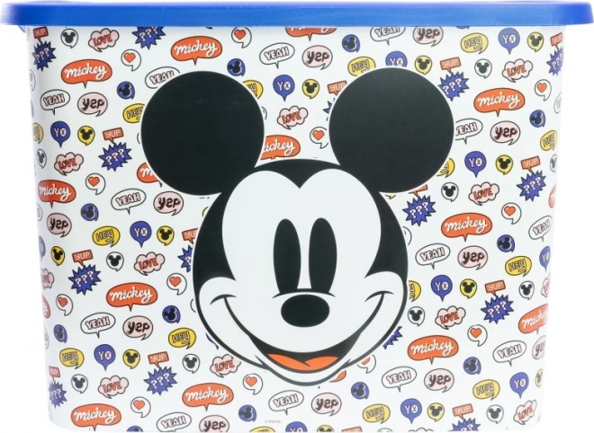 Úložný box s motivem Mickeyho