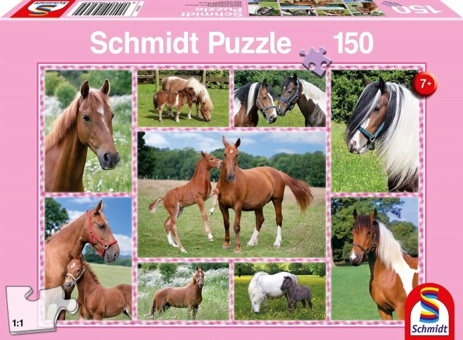 Puzzle nádherní koně od SCHMIDT