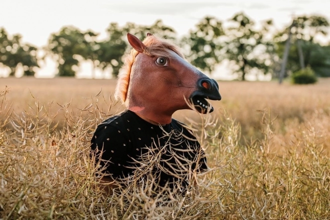 Koňská maska