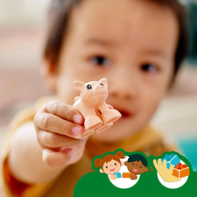 LEGO Duplo 10949 Zvířátka z farmy